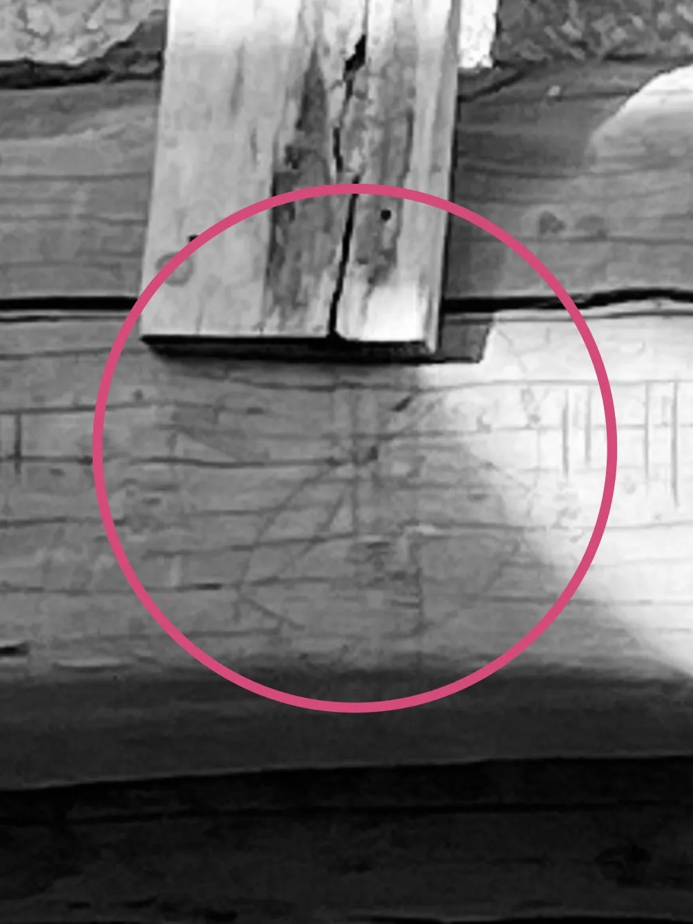 Sole delle Alpi cimbro